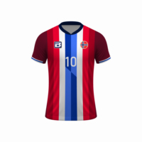 Maillot de football de l'équipe nationale finlandaise authentique et personnalisé pour hommes technologie de sublimation de chemise de football à coupe automatisée en gros