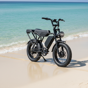 20*4 Inch 60V 30Ah 2000W 7 Speed 60km/h Dirt Bike <b>72v</b> Hydraulic Disc Dual Motor E Dirt Bike - Product Image 1