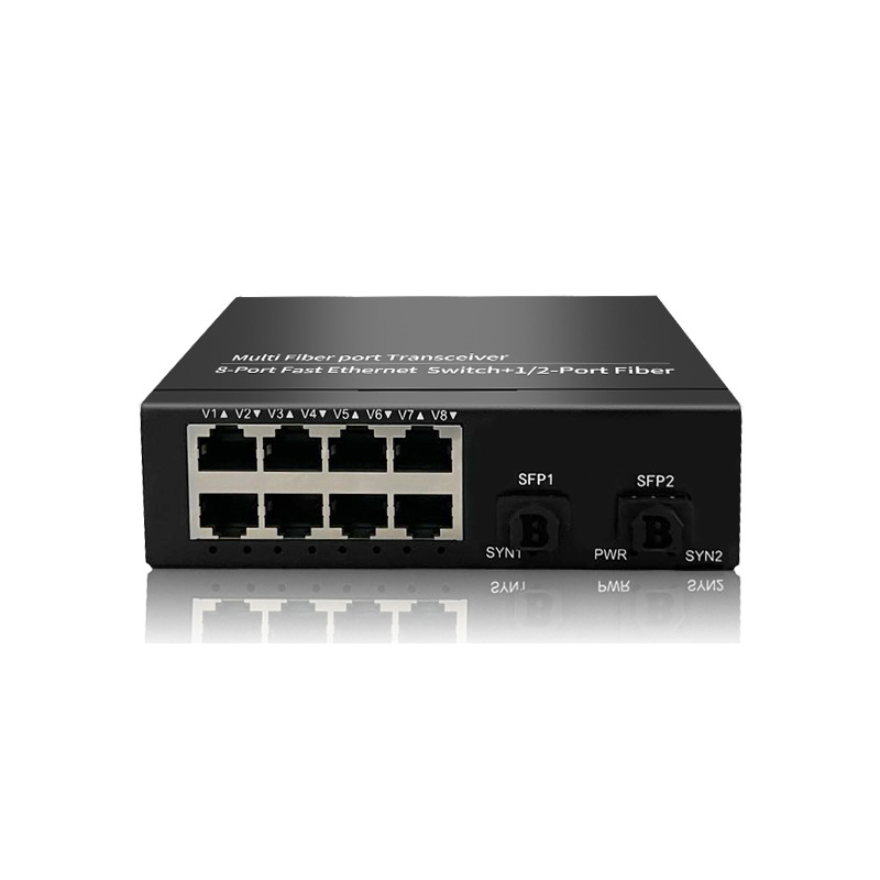 Black-8*RJ45 Port + 2* SFP Port