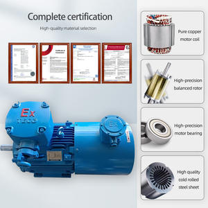 TECO TEBY 0.37KW ~ 355KW 1500Rpm a prova di esplosione a frequenza variabile AC motore elettrico con ventilatore indipendente IC416 IP55 - Product Image 5