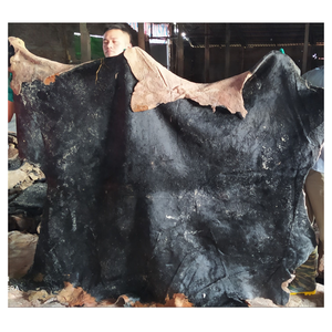 Standard Grade Double Faced Wet Salted Buffalo Hides and Cowhides <b>Raw</b> Animal <b>Skin</b> for Mass Market Leather Goods - Product Image 5