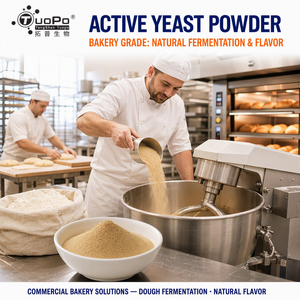 <span class=keywords><strong>Levadura</strong></span> en Polvo Amarillenta Fina y Activa, Alta Tasa de Células Vivas, Fermentación Estable para Producción Comercial de Panadería - Product Image 5