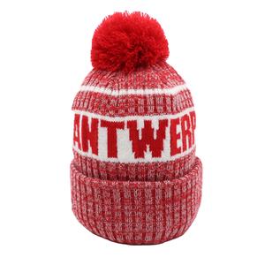 Chapeau tricoté d'hiver tendance, bonnet tricoté, accessoires d'hiver, bonnet avec broderie personnalisée - Product Image 2