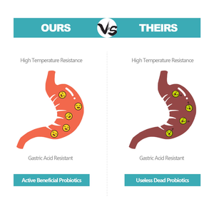 Multi-Vitamin Care Soft Chews-Testé cliniquement avec soutien pour la peau et le pelage, les hanches et les articulations, l'immunité et le cœur-Saveur de boeuf (90 mastics) - Product Image 3