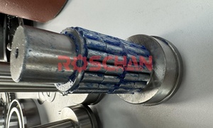 Heavy Duty Planetary Shaft Needle Bearing Kit OEM 42064785 for <strong>IVECO</strong> <strong>Trucks</strong> - Product Image 2