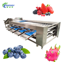 Shepody Automatische Fruit Blauwe Bes Kersen Sorteermachine Vibratie Sorteer- en Verpakkingsapparatuur Diepvries Aardbeien Formaat Sorteermachine
