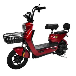 14inch fashion double electric bicycle factory direct sales electric vehicle 48V 350W power electric bike