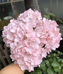 M-H02 Chất Lượng Cao 5 Đầu Tú Cầu Lụa Nhân Tạo Hoa Trang Trí Đám Cưới Nền Trắng Hoa Tú Cầu - Product Image 4