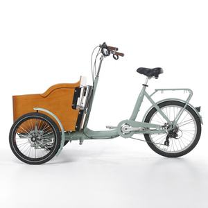 Bicicletas de Carga <span class=keywords><strong>Brompton</strong></span> Populares en Europa, Exhibidores para Bicicletas, Bakfiets Eléctricas, Triciclos Eléctricos, Elektrische Bakfiets - Product Image 3