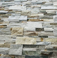 Layar Panas Harga Pabrik Panel Dinding Quartzite 350*180 Panel Pelapis Dinding Eksterior Batu Alami Panel Pelapis Dinding Warna Matahari Panel Z