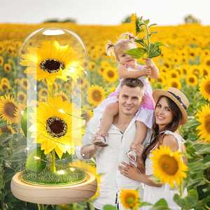 Girasoles Artificiales en Cúpula de Cristal con Tira de LED, Girasol de Jabón para Regalo de Navidad, Regalos de Cumpleaños - Product Image 3