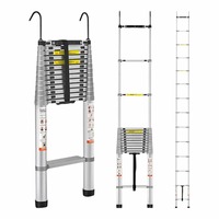 Échelle télescopique pliable à extension unique avec 2 crochets en aluminium pour toit, grenier, jardin, échelle à marches
