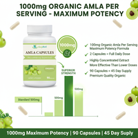 Complément alimentaire à base d'Amla, complément naturel de vitamine C, extrait d'Amalaki, éclat de la peau et croissance des cheveux, capsules d'Amla
