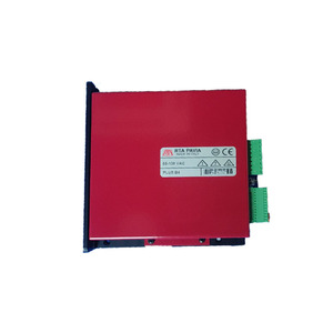Módulo de Control Industrial Rta Pavia 55-100 VAC Plus B4 para Uso con Monitor - Product Image 1