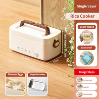 Boîte à lunch électrique à double couche en acier inoxydable 304, à brancher, compartimentée
