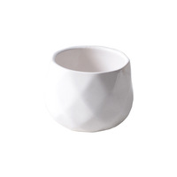 Pot de fleurs en céramique, porcelaine blanche, bonsaï, moderne, simple, respirant, durable, mini taille, décoration végétale, vente en gros