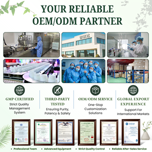ผู้ผลิตซองกาแฟคาเฟอีนเพิ่มพลังงานแบบ OEM/ODM |   ซองพลังงานกัวรานาแบรนด์ส่วนตัว |   ตัวอย่างอาหารเสริมแบบไม่มีนิโคตินสำหรับขายส่ง - Product Image 6