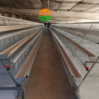 Système automatique de ponte d'œufs à 4 niveaux 160 oiseaux poules pondeuses cages à batterie au Botswana