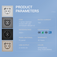 Enchufe de pared de panel de PC de 250V 16A estándar de la UE con enchufes eléctricos alemanes USB tipo A y tipo C