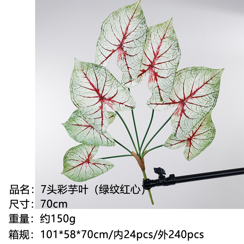 Feuilles de taro à 7 têtes (rayures vertes, cœur rouge) - 70 cm