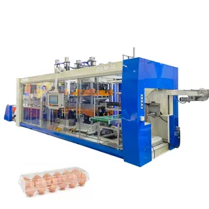 Three Station Full Automatic Blister Thermoforming Blister Pet Egg Tray Machine Plastic Thermoforming