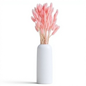 <b>Dried</b> Flowers <b>Plants</b> Preserved bunny Tail Grass Eco-Friendly Home Decoration Birthday Valentine's Day Mother's Day Wedding - Product Image 1