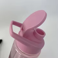 Bouteilles d'Eau de Sport Givrées en Tritan Sans BPA de 500ML et 700ML pour Voyage en Extérieur, Large Goulot, avec Logo Personnalisé