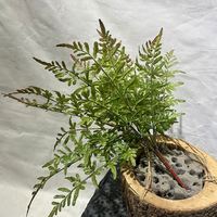 EG-J233 Plante artificielle de fougère à 7 branches de haute qualité, feuillage artificiel pour la décoration intérieure et extérieure de la maison et du jardin