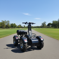 Patinete eléctrico plegable de golf de 4 ruedas, pantalla de 10000W, neumáticos todoterreno/césped, capacidad de batería de litio de 60ah, nombre del producto carrito de golf