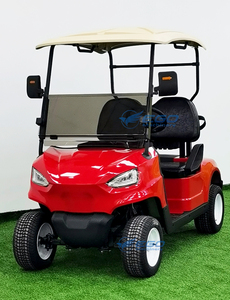 Carrito de Golf Eléctrico de 2 Plazas, Color Personalizable, Mini Buggy de Bajo Ruido, Radio de Giro Pequeño, para Zonas Turísticas y Resorts - Product Image 6