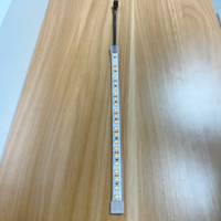 Bande lumineuse LED SMD2835 étanche IP67 110V/220V 10mm 180 LED 3000K/4000K/6500K en PVC découpé à l'emporte-pièce avec alimentation USB