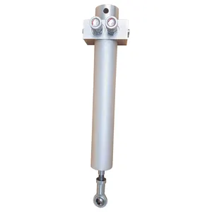 Fitness Equipment Double Switch Resistance Control Aluminum Damping Hydraulic Cylinders