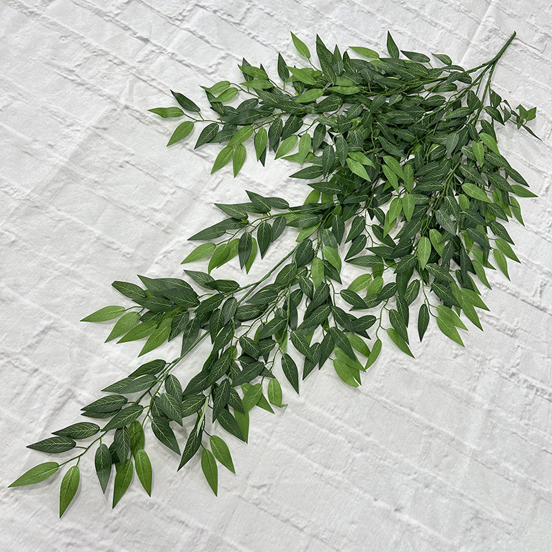 Willow leaves hanging