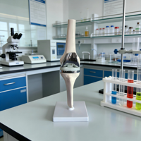 Modèle de remplacement de l'articulation du genou - Modèle d'anatomie de prothèse de genou artificielle pour l'enseignement médical orthopédique