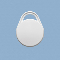 Holyiot facile à placer dispositif portable Iot suivi extérieur Ibeacon balise Ble Iot à faible coût