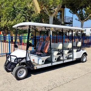 高品质带前灯的电动高尔夫球车，配有蓝色和黑色可供出售