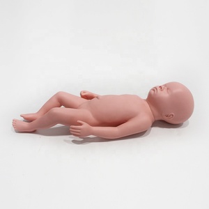 Modelo <span class=keywords><strong>de</strong></span> Bebé Flexible que Puede Pasar por la Pelvis para Demostración <span class=keywords><strong>de</strong></span> Parto en Obstetricia, Entrenamiento <span class=keywords><strong>de</strong></span> Enfermería - Product Image 1