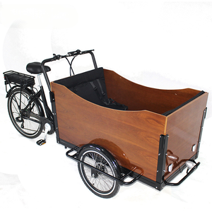 Véhicule à batterie lithium, cadre en acier, moteur sans balais 500W, livraison quotidienne, transport d'enfants, stable, sûr, moderne, T05 Kids Tr T05 Kids - Product Image 3