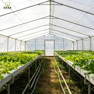 Invernadero Portátil Grande de Plástico Cubierto con Láminas, Diseño de <span class=keywords><strong>Túnel</strong></span> de un Solo Tramo para Agricultura y Jardinería - Product Image 3