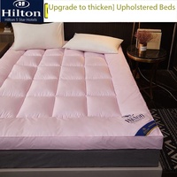 Livraison rapide Matelas d'hôtel rose et blanc Queen 150*200cm Microfibre Voyage Portable Matelas pliable