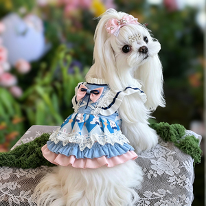 Ropa de Alta Gama para Perros, Vestidos para Perros Pequeños <span class=keywords><strong>Chihuahua</strong></span>, Camiseta con Lazo y Encaje para Gatos, Vestido Kawaii Lolita para Perros, Ropa de Lujo para Mascotas - Product Image 6