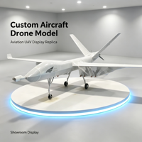 Modèle d'affichage de drone aérien personnalisé