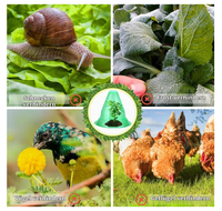 Protège-plantes anti-escargots 27 cm x 24 cm en plastique – Protection contre le gel, les insectes et les oiseaux – Mini-serre de protection