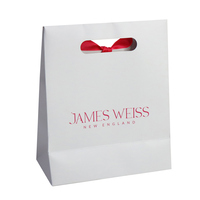 Sac d'emballage de cadeau en papier avec ruban avec impression personnalisée de logo pour bijoux et bijoux et montres