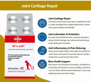 कुत्तों और बिल्लियों के लिए उच्च पोषण कूल्हे और संयुक्त ग्लुकोसामाइन और चोन्ड्रोइटिन टैबलेट के पूरक हिप और संयुक्त समर्थन गतिशीलता का इलाज करते हैं - Product Image 5