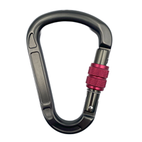 Mousqueton de sécurité en aluminium aéronautique robuste 22kN pour l'escalade professionnelle, équipement de travail, protection contre les chutes