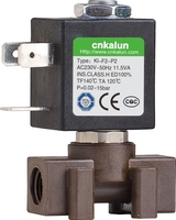 Válvula Solenoide de Plástico de 2 y 3 Vías, 0.9mm/6mm, DC12V/24V AC110-240V, para Generadores de Vapor, Válvula de Seguridad
