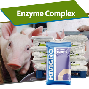 Nhà sản xuất cung cấp đa <span class=keywords><strong>Enzyme</strong></span> phức tạp cho lợn nái heo con thức ăn - Product Image 1