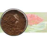 Poudre de Salidroside de Haute Pureté 98% Extrait de Rhodiola Rosea Complément Anti-Fatigue et Antioxydant pour Additifs Alimentaires et Cosmétiques