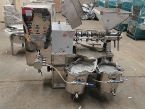 Estrazione di benzina di arachidi palmare pressatura lavorazione di fresatura vite olio freddo macchina pressa per India - Product Image 3